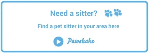 Book a Pawshake pet sitter