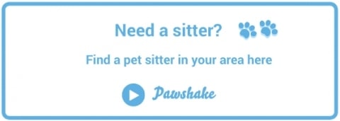 Book a pet sitter
