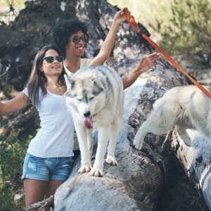 Le/la meilleur(e) Promenade de chien de votre secteur