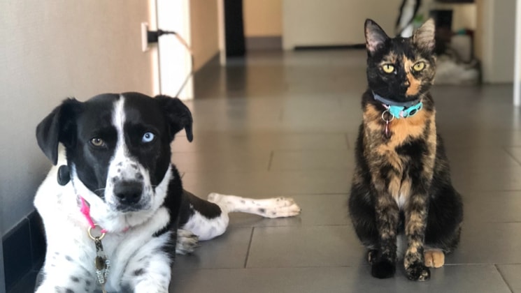 Claudia à Luxembourg back image