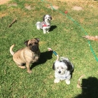 Baxter, Ralph , Louis Baxter, Ralph , Louis