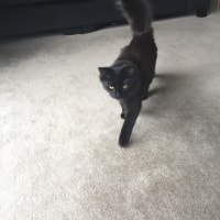 Marmite Marmite