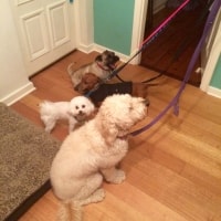 Baxter, Frank, Milly, Taffy Baxter, Frank, Milly, Taffy