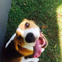 Ralphy Ralphy