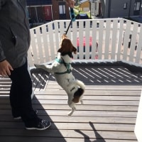 Heppu Heppu