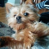 Zoey Zoey