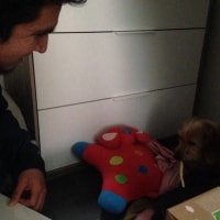 Andres Andres
