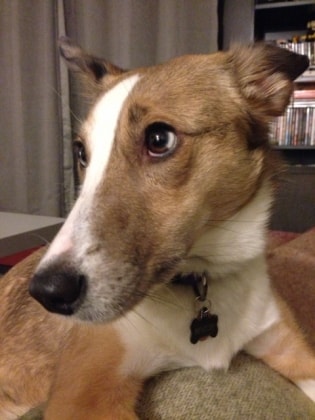 Insurance jobs montreal